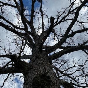 Meet your Posher, Janielle